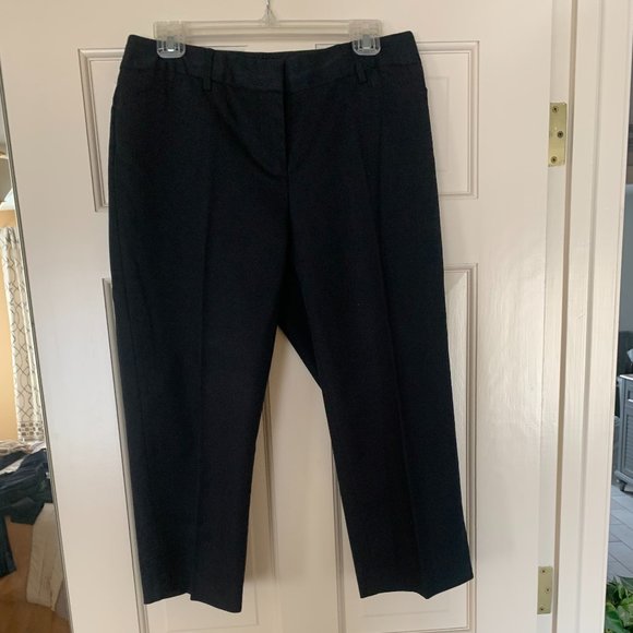 Rafaella Navy Blue Curvy Fit Capri Pants - Size 8 - Picture 2 of 8